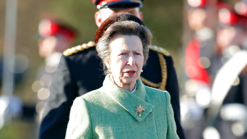 Princess Anne quietly returns to paintings amid Prince Andrew drama