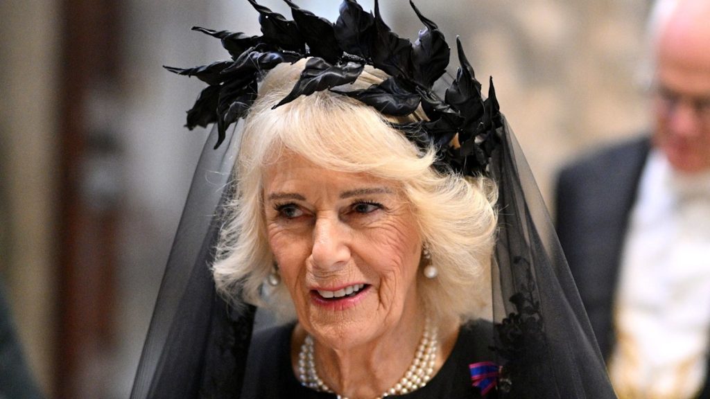 Why Queen Camilla wore a black get dressed and veil to satisfy Pope Leo