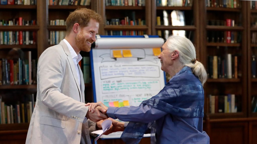 Prince Harry's touching second with Jane Goodall resurfaces after revealing she held Archie as a toddler
