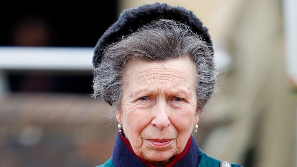 Princess Anne is autumn’s surprising taste icon in pencil skirt – and leather-based knee-high boots