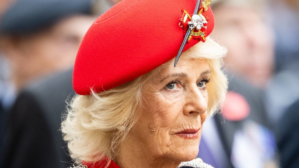 Queen Camilla makes £10k cranium addition to outfit – borrowed from overdue Queen