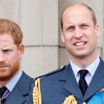 Why Prince Harry introduced new travel as brother Prince William kicked off talk over with to Brazil